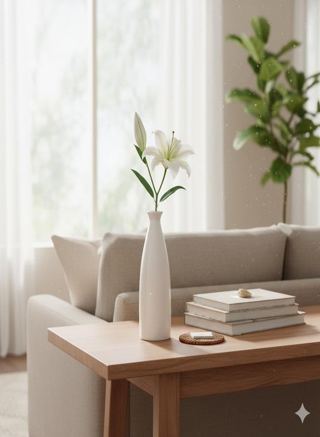 Aabco Unique Shape, Ceremic Vase for Living Room, Home Decoration Items for Living Room, Flower Vases for Home, Office & Table Decor (Plain Bottle Vase) - Image 2